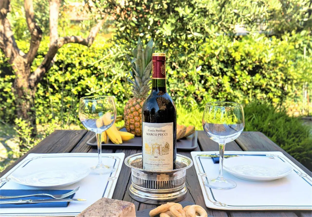 B&B Villa Apuana Marina Di Carrara Italy